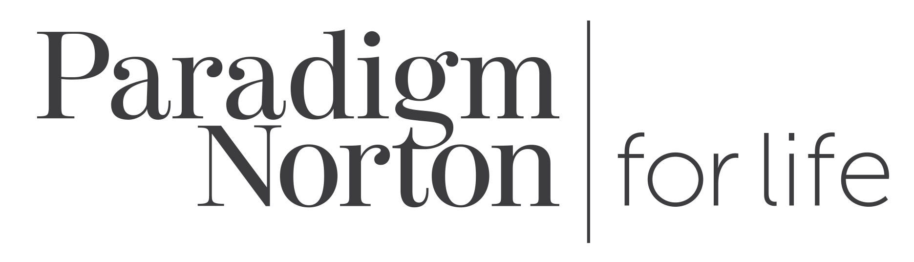 Paradigm Norton
